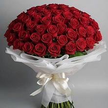 Букет 101 Красная роза Блэк Мэджик в Сотниковском