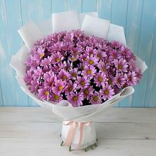 Букет цветов из:  Хризантемы в Сотниковском
