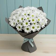 Букет цветов из:  Хризантемы #REPLACE_PRED# Сотниковском