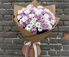 Букет цветов из:  Хризантемы #REPLACE_PRED# Сотниковском