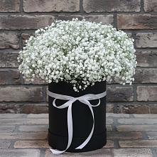 Цветочная композиция из Гипсофила в шляпной коробке #REPLACE_PRED# Сотниковском