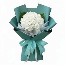 Букет цветов из:  Гортензия в Сотниковском
